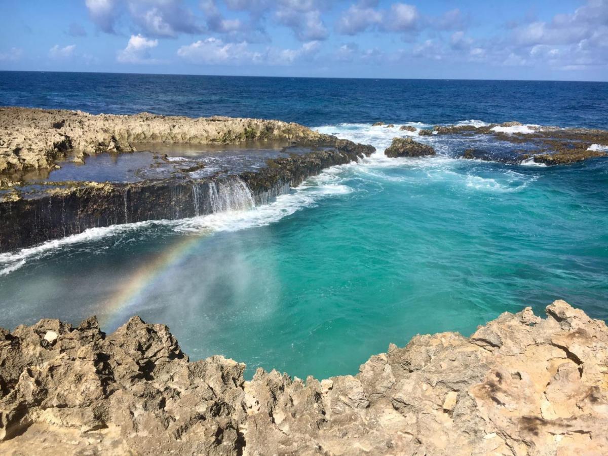 Palmita Hostel Aruba Oranjestad Luaran gambar